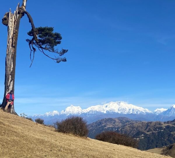 Kanchenjunga View